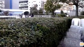 朝晖一区房价㊙️➕海岸线文学少妇白洁